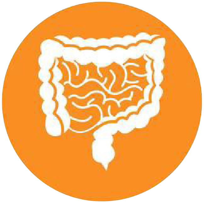 關注職場“腸”態(tài),守護員工健康——上海格瑞特特邀消化內科專家公益系列講座(4)(圖4)