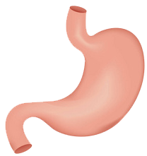 關注職場“腸”態(tài),守護員工健康——上海格瑞特特邀消化內科專家公益系列講座(4)(圖9)